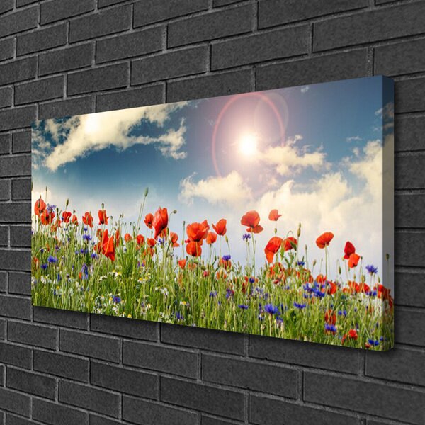 Quadro su tela Prato. Fiori. Sole. Natura 100x50 cm