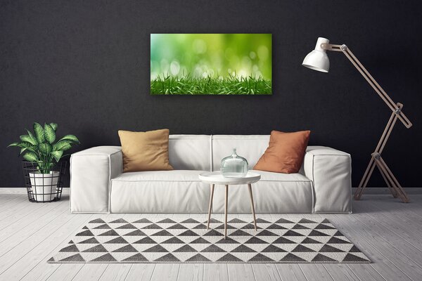 Quadro su tela Erba, piante, natura 100x50 cm