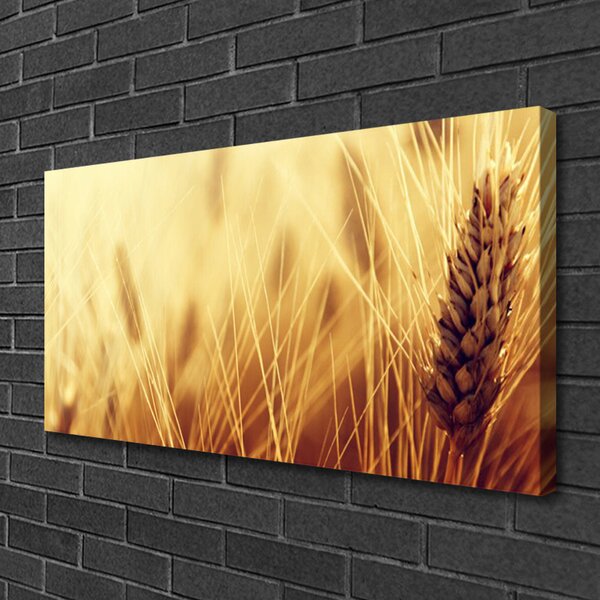 Quadro su tela Grano vegetale naturale 100x50 cm