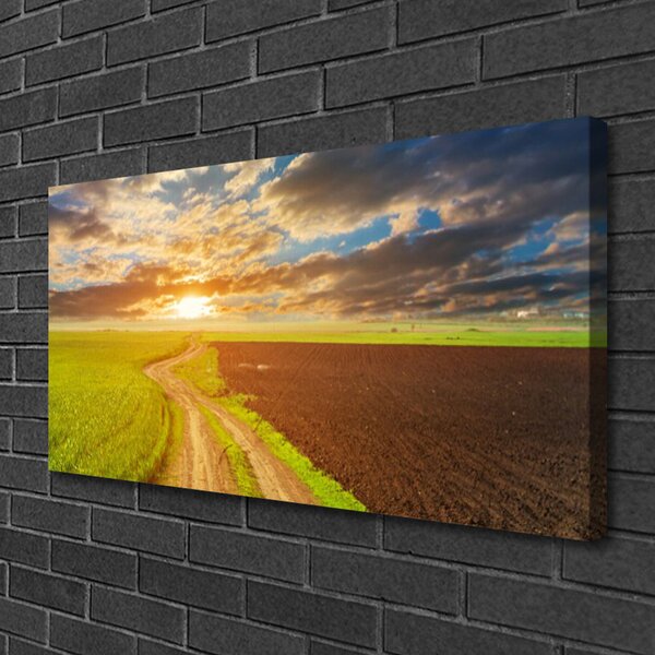 Stampa quadro su tela Il campo, il cielo e il sole La natura 100x50 cm