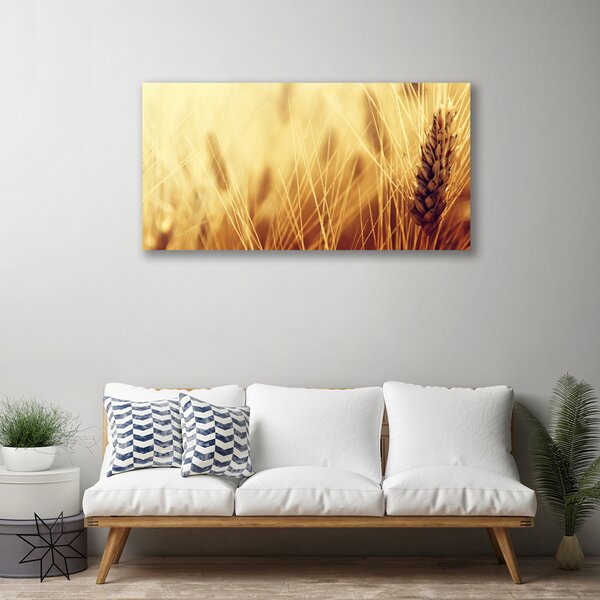 Quadro su tela Grano vegetale naturale 100x50 cm