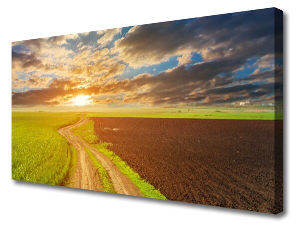Stampa quadro su tela Il campo, il cielo e il sole La natura 100x50 cm