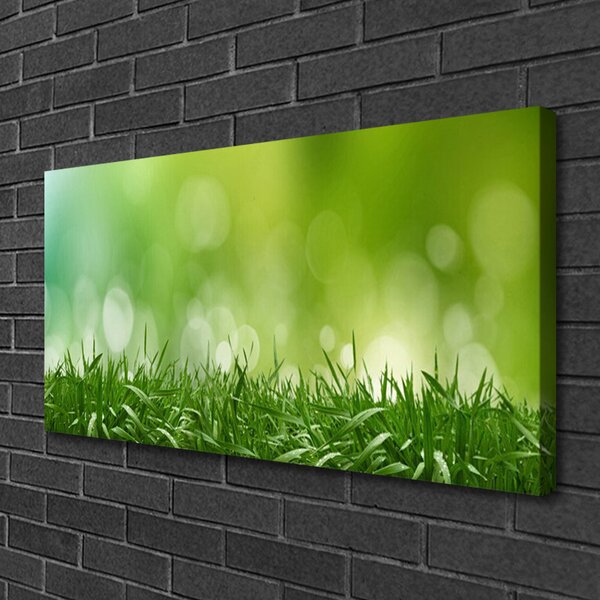 Quadro su tela Erba, piante, natura 100x50 cm