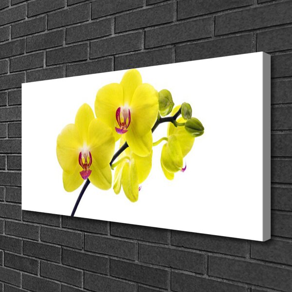 Quadro su tela Fiori, piante, natura 100x50 cm