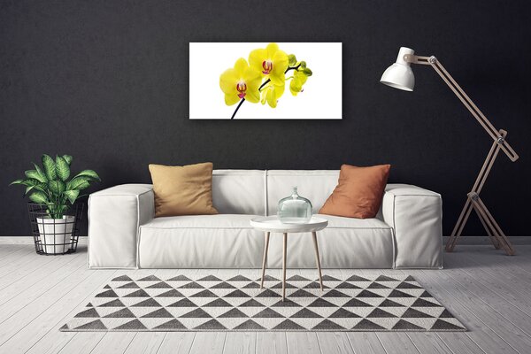 Quadro su tela Fiori, piante, natura 100x50 cm