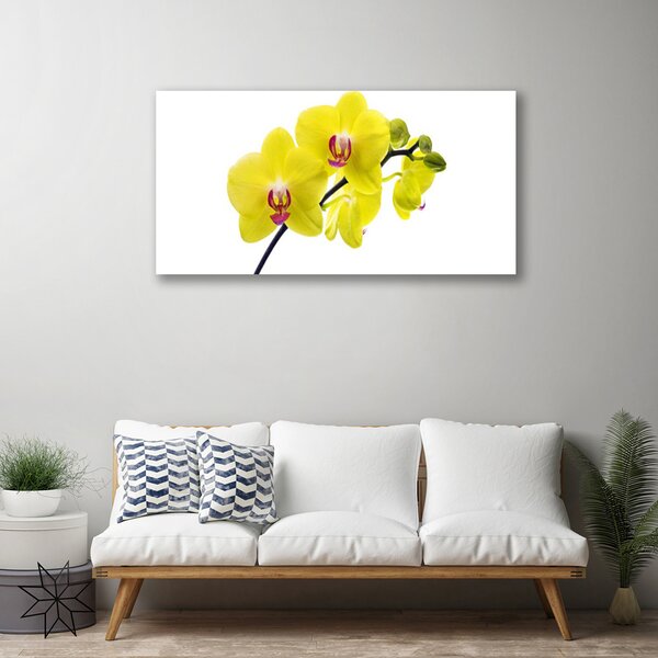 Quadro su tela Fiori, piante, natura 100x50 cm