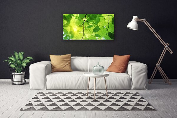 Quadro su tela Foglie di piante naturali 100x50 cm