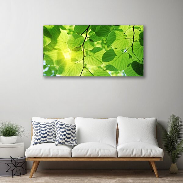 Quadro su tela Foglie di piante naturali 100x50 cm