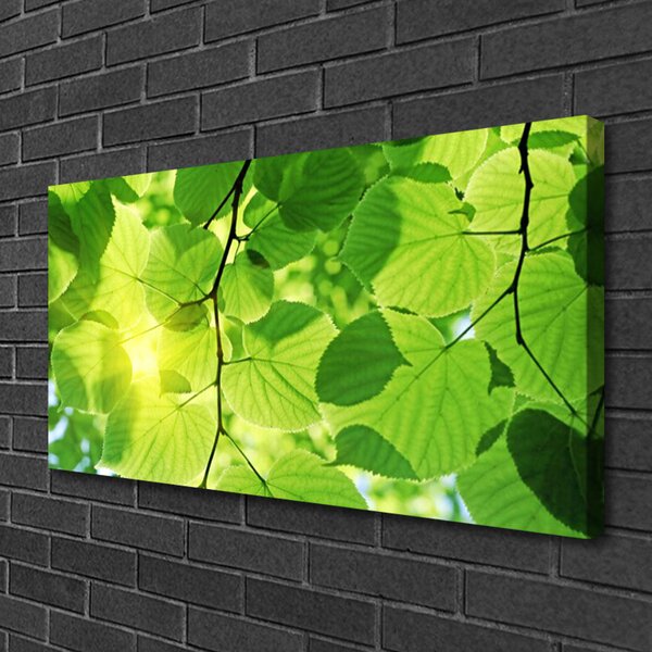 Quadro su tela Foglie di piante naturali 100x50 cm