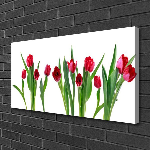 Quadro su tela Tulipani, fiori, piante 100x50 cm