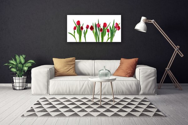 Quadro su tela Tulipani, fiori, piante 100x50 cm