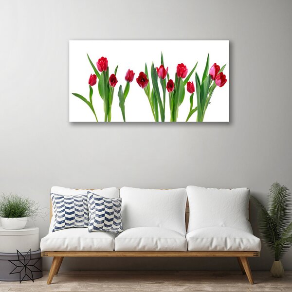 Quadro su tela Tulipani, fiori, piante 100x50 cm