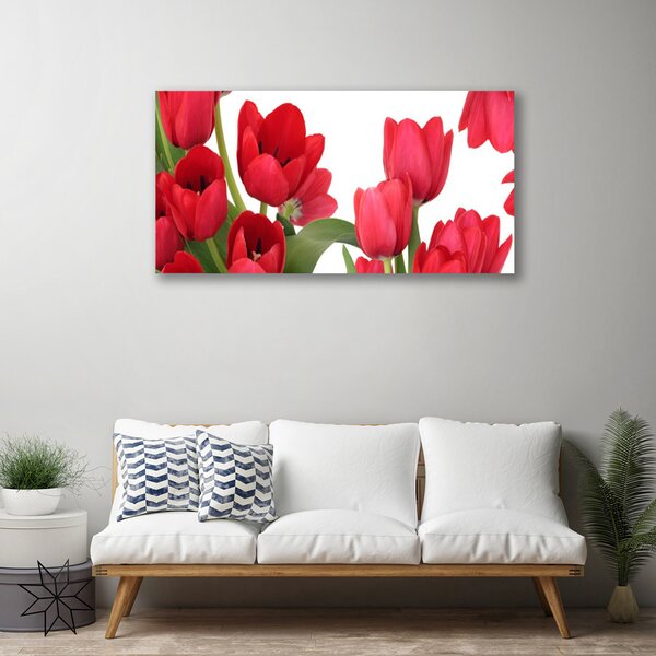 Quadro su tela Tulipani, fiori, piante 100x50 cm