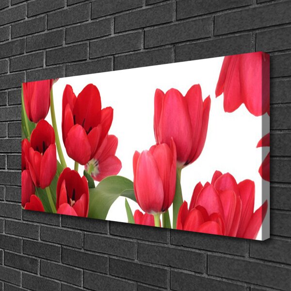 Quadro su tela Tulipani, fiori, piante 100x50 cm