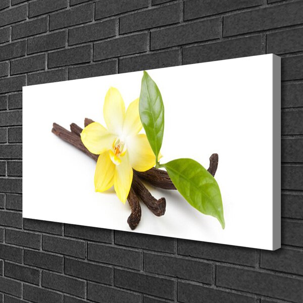 Quadro su tela Foglie di vaniglia Pianta 100x50 cm