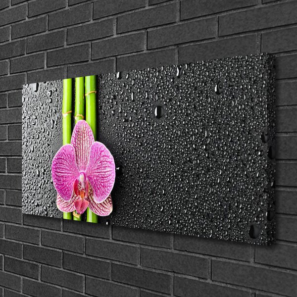 Quadro su tela Fiore di bambù Pianta Natura 100x50 cm