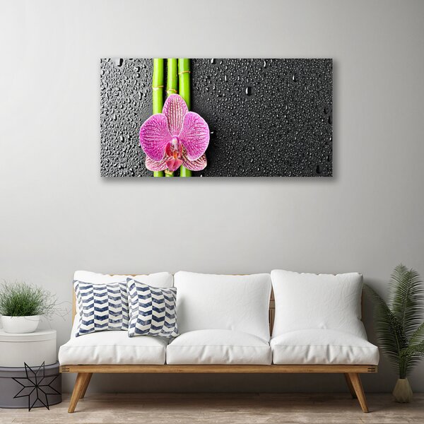 Quadro su tela Fiore di bambù Pianta Natura 100x50 cm