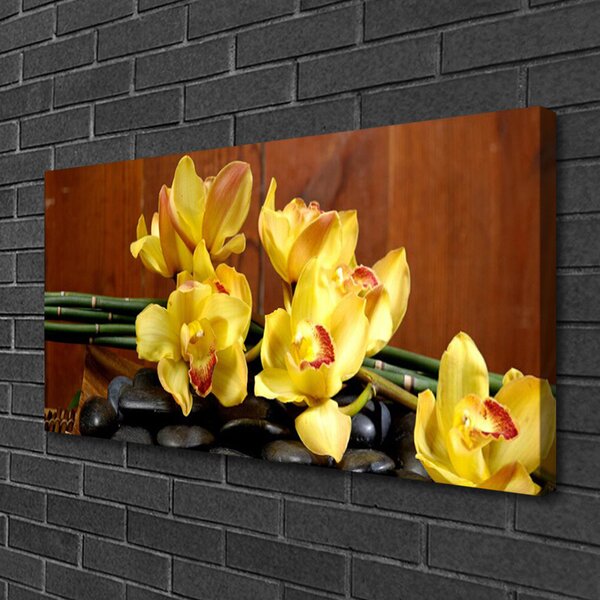 Quadro su tela Fiore di una pianta di orchidea 100x50 cm