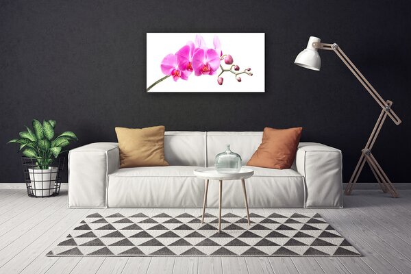 Quadro su tela Fiori, piante, natura 100x50 cm
