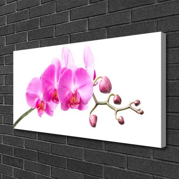 Quadro su tela Fiori, piante, natura 100x50 cm