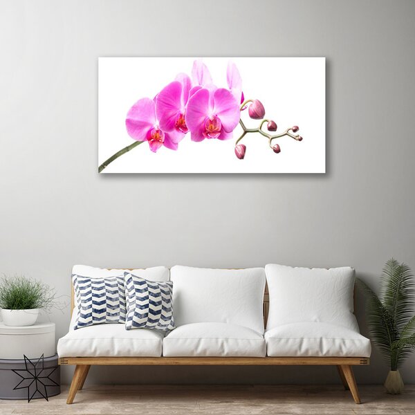 Quadro su tela Fiori, piante, natura 100x50 cm