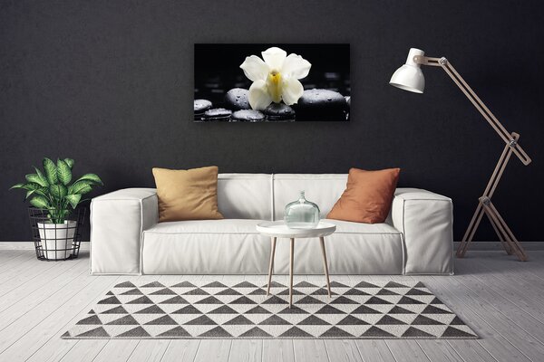 Quadro su tela Pianta dell'orchidea del fiore 100x50 cm