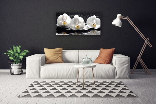 Quadro su tela Fiore di orchidea bianca 100x50 cm