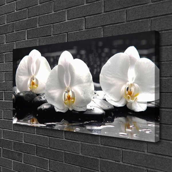 Quadro su tela Fiore di orchidea bianca 100x50 cm