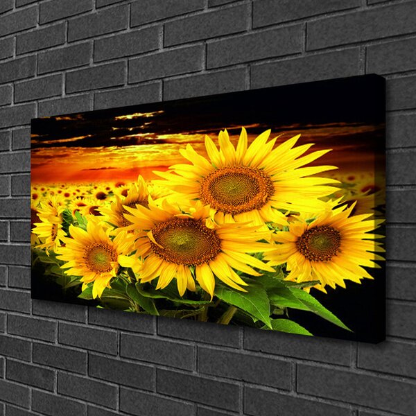 Quadro su tela Pianta di fiori di girasole 100x50 cm