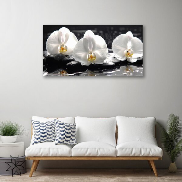 Quadro su tela Fiore di orchidea bianca 100x50 cm