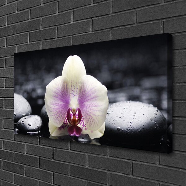Quadro stampa su tela Pianta dell'orchidea del fiore 100x50 cm