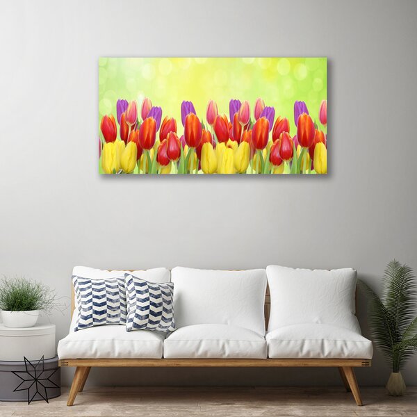 Quadro su tela Tulipani, fiori, piante 100x50 cm