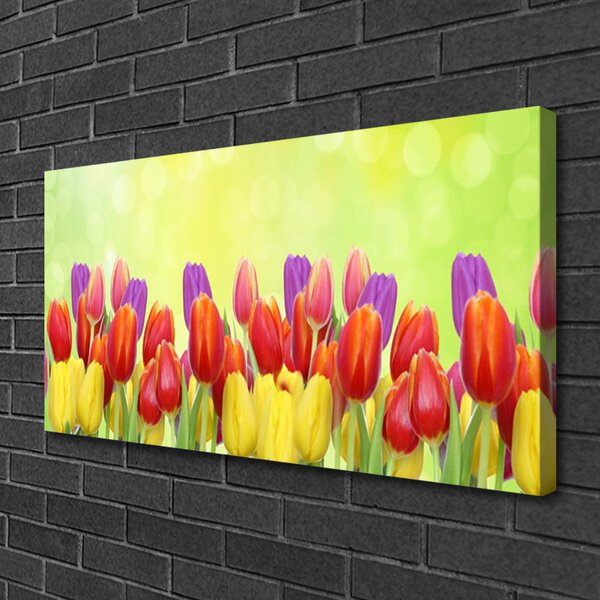 Quadro su tela Tulipani, fiori, piante 100x50 cm