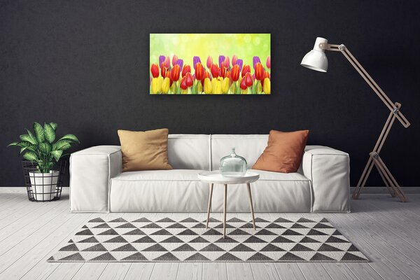 Quadro su tela Tulipani, fiori, piante 100x50 cm