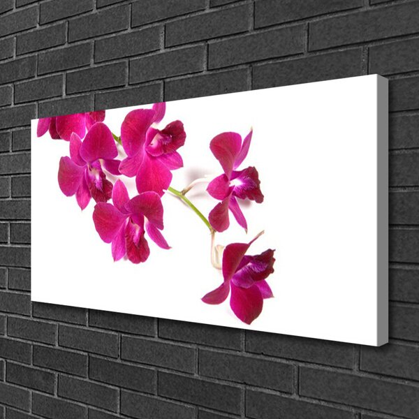 Quadro su tela Fiori, piante, natura 100x50 cm