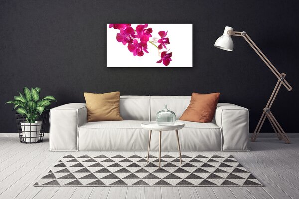 Quadro su tela Fiori, piante, natura 100x50 cm