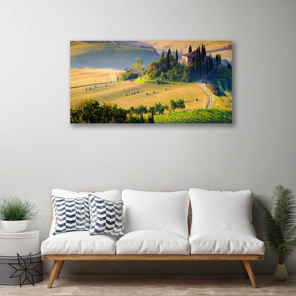 Quadro su tela Campo di alberi del paesaggio 100x50 cm