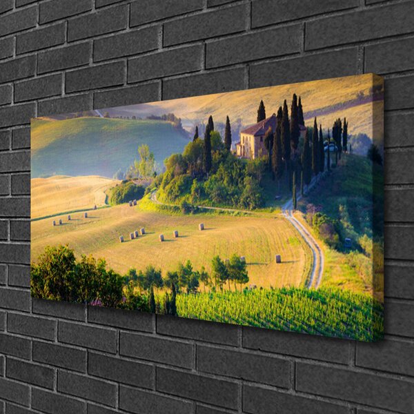 Quadro su tela Campo di alberi del paesaggio 100x50 cm