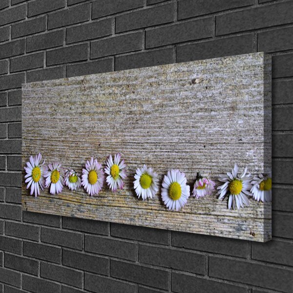 Quadro su tela Margherita, pianta, natura 100x50 cm