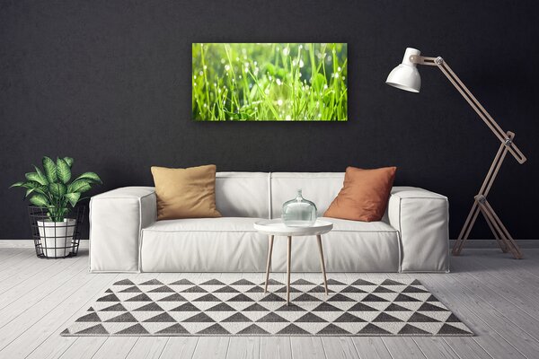 Quadro su tela Erba, piante, natura 100x50 cm