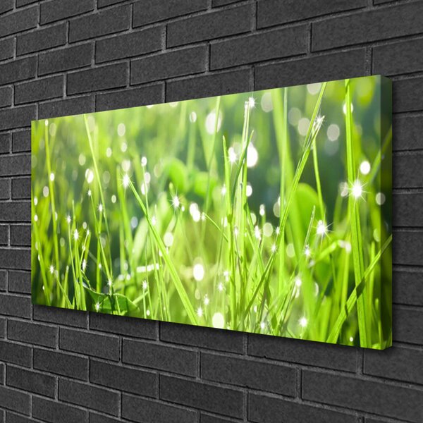 Quadro su tela Erba, piante, natura 100x50 cm
