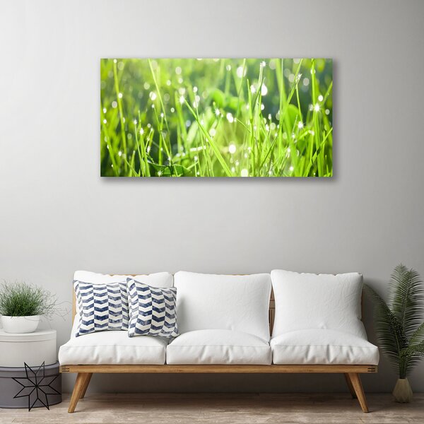 Quadro su tela Erba, piante, natura 100x50 cm