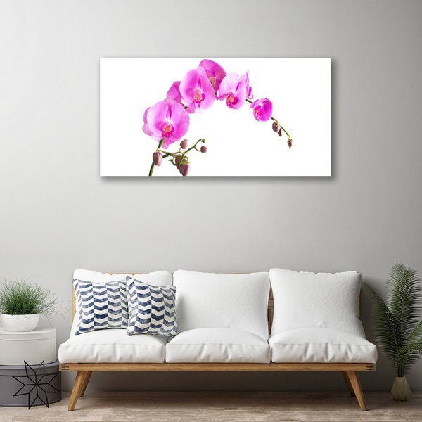 Quadro su tela Fiori, piante, natura 100x50 cm