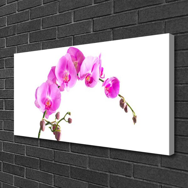 Quadro su tela Fiori, piante, natura 100x50 cm