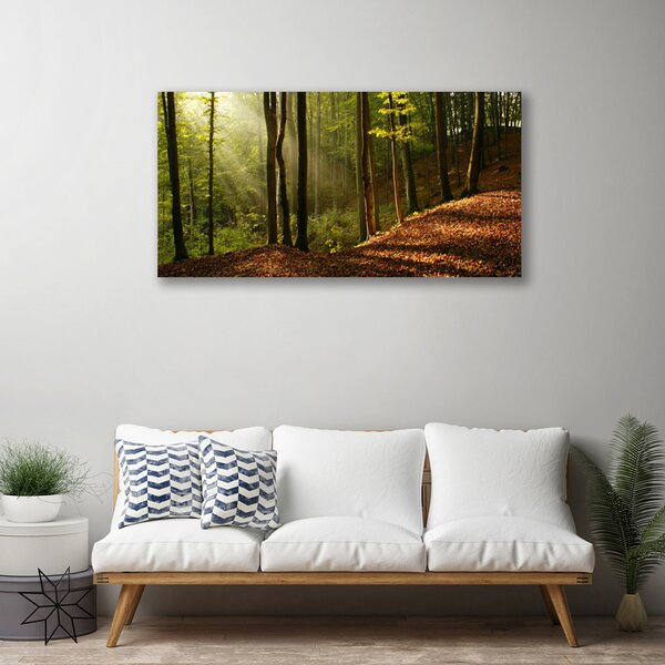 Quadro su tela Foresta, alberi, natura 100x50 cm