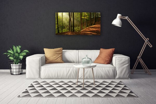 Quadro su tela Foresta, alberi, natura 100x50 cm