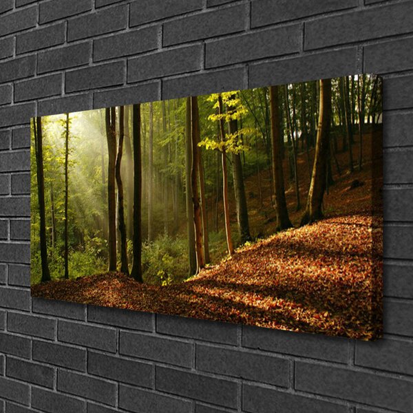Quadro su tela Foresta, alberi, natura 100x50 cm