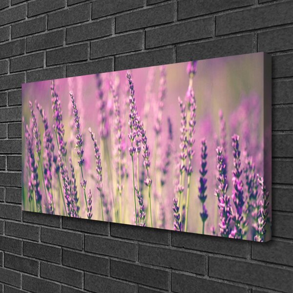 Quadro su tela Fiori, piante, natura 100x50 cm