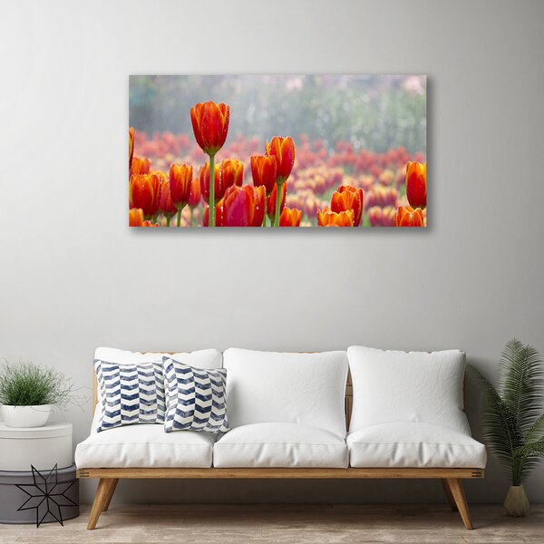 Quadro su tela Tulipani, fiori, piante 100x50 cm