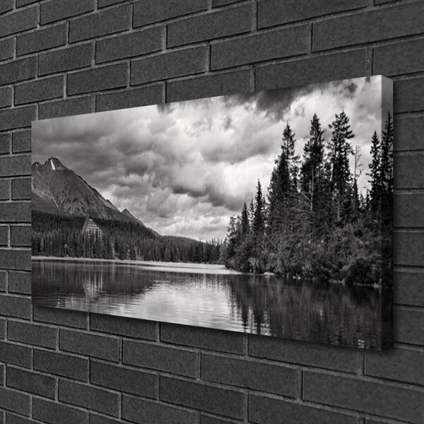 Quadro su tela Lago di foresta naturale 100x50 cm